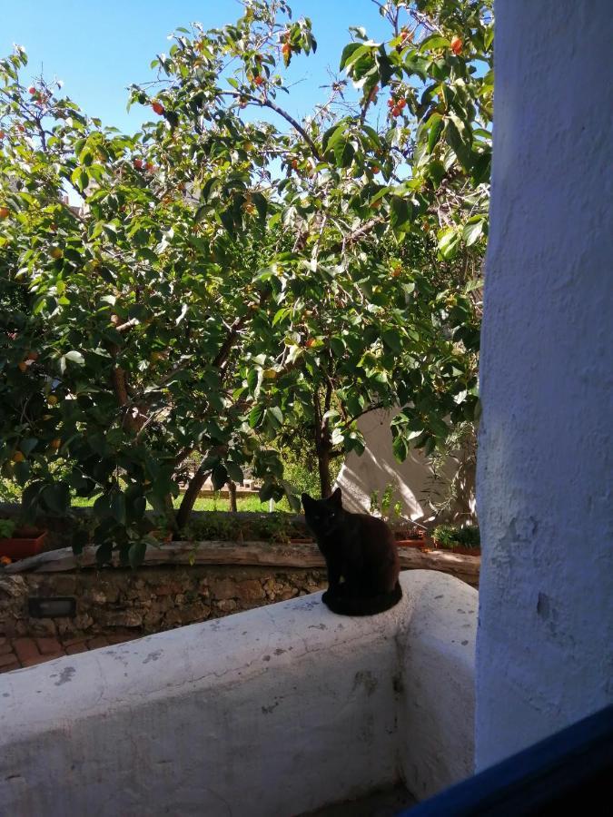 B&B Corte San Lussorio Oliena Luaran gambar