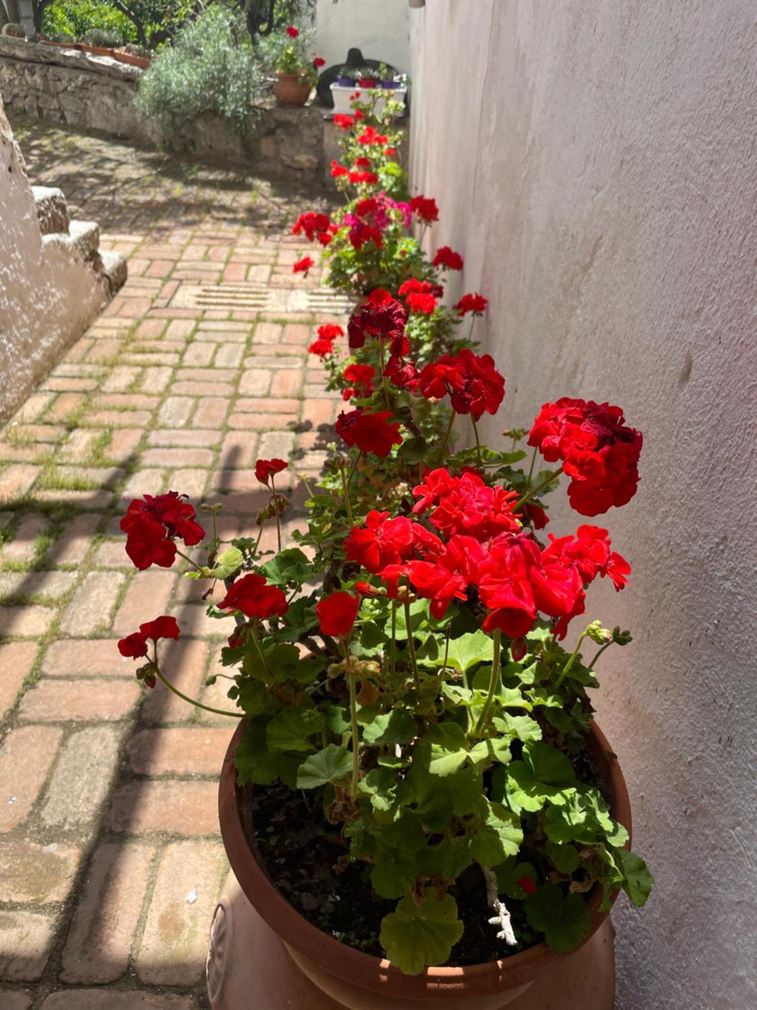 B&B Corte San Lussorio Oliena Luaran gambar