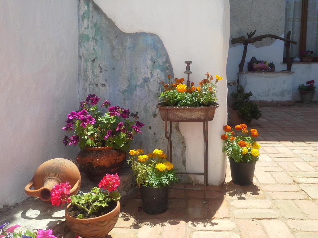 B&B Corte San Lussorio Oliena Luaran gambar